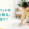 布でカーペットのコーヒー染みを取る女性と「カーペットのシミを取るは英語で？」の文字