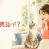 猫は英語で?女性と猫が見つめ合うイラスト