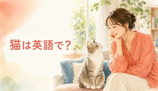 猫は英語で？cat・kitten・kittyの違いと猫種・鳴き声・例文