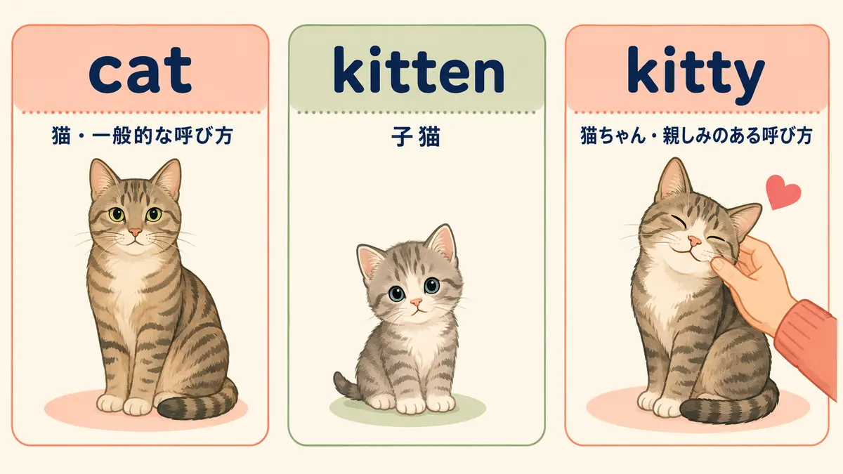 cat・kitten・kittyの意味と違い