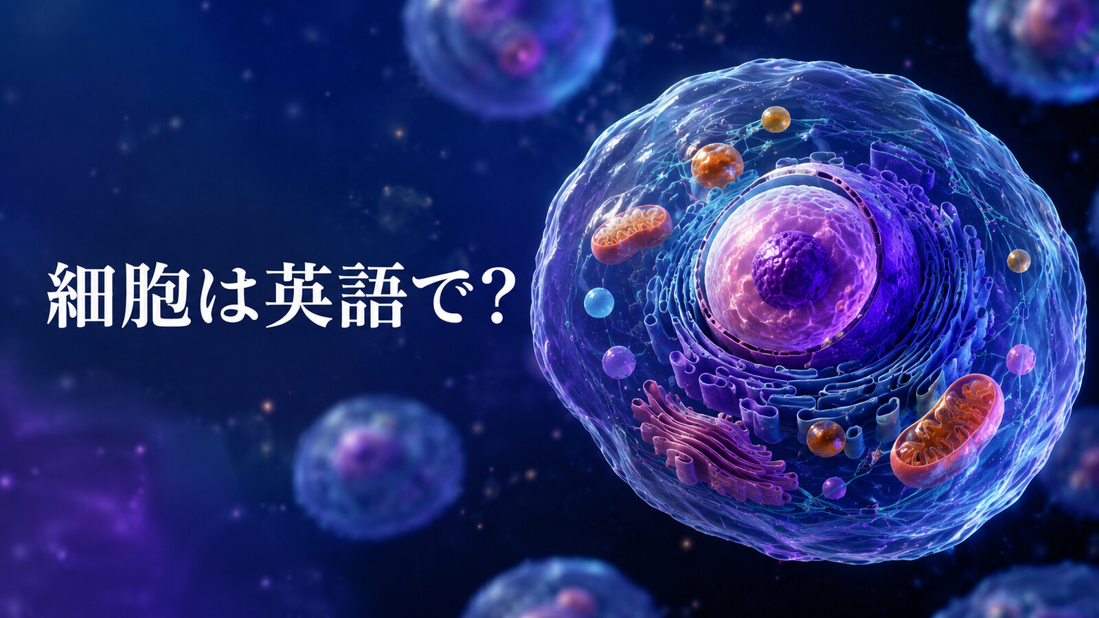 「細胞」は英語で？cellの発音・複数形cellsと語源、人体の細胞構造を図解