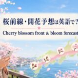 桜前線と開花予想を英語で紹介するアイキャッチ