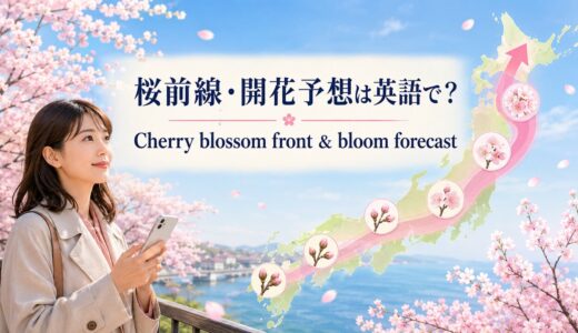 桜前線・開花予想は英語で？cherry blossom forecastの意味と例文