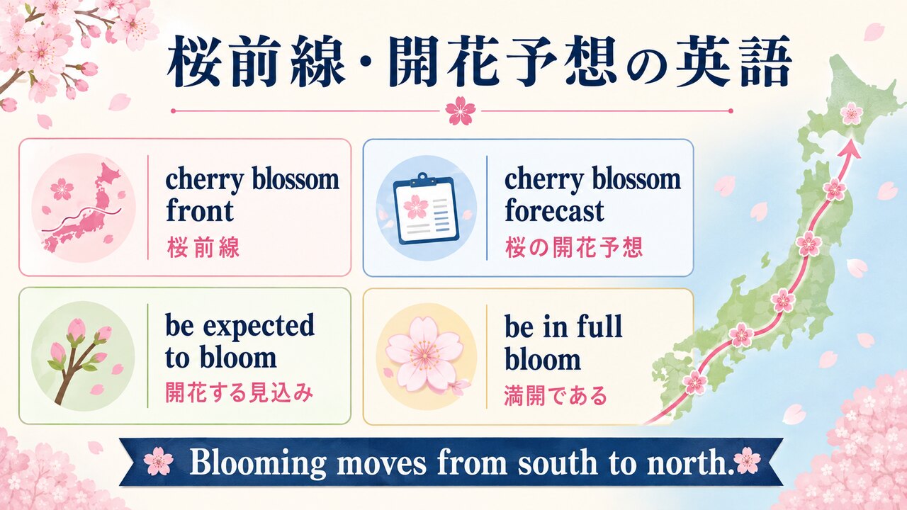桜前線・開花予想・開花見込み・満開の英語を比較した図解