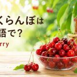 さくらんぼは英語で?cherry