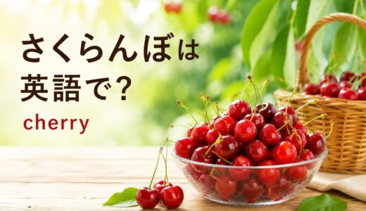 さくらんぼは英語で？cherryの意味・複数形とアメリカンチェリーの違い