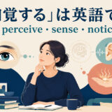 「知覚する」を表すperceive・sense・noticeの違いを解説するアイキャッチ画像