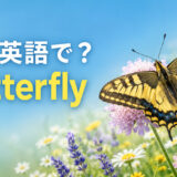 花にとまるアゲハ蝶と「蝶は英語で？ butterfly」の文字