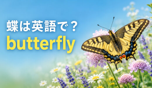 蝶は英語で？butterflyの発音・複数形と蛾mothとの違い