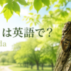 セミは英語でcicadaと紹介する夏の木のアイキャッチ