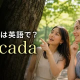 セミは英語でcicadaと紹介する夏の公園の女性たち