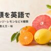 みかん・オレンジ・レモン・グレープフルーツなど柑橘類4種類の英語を紹介する画像