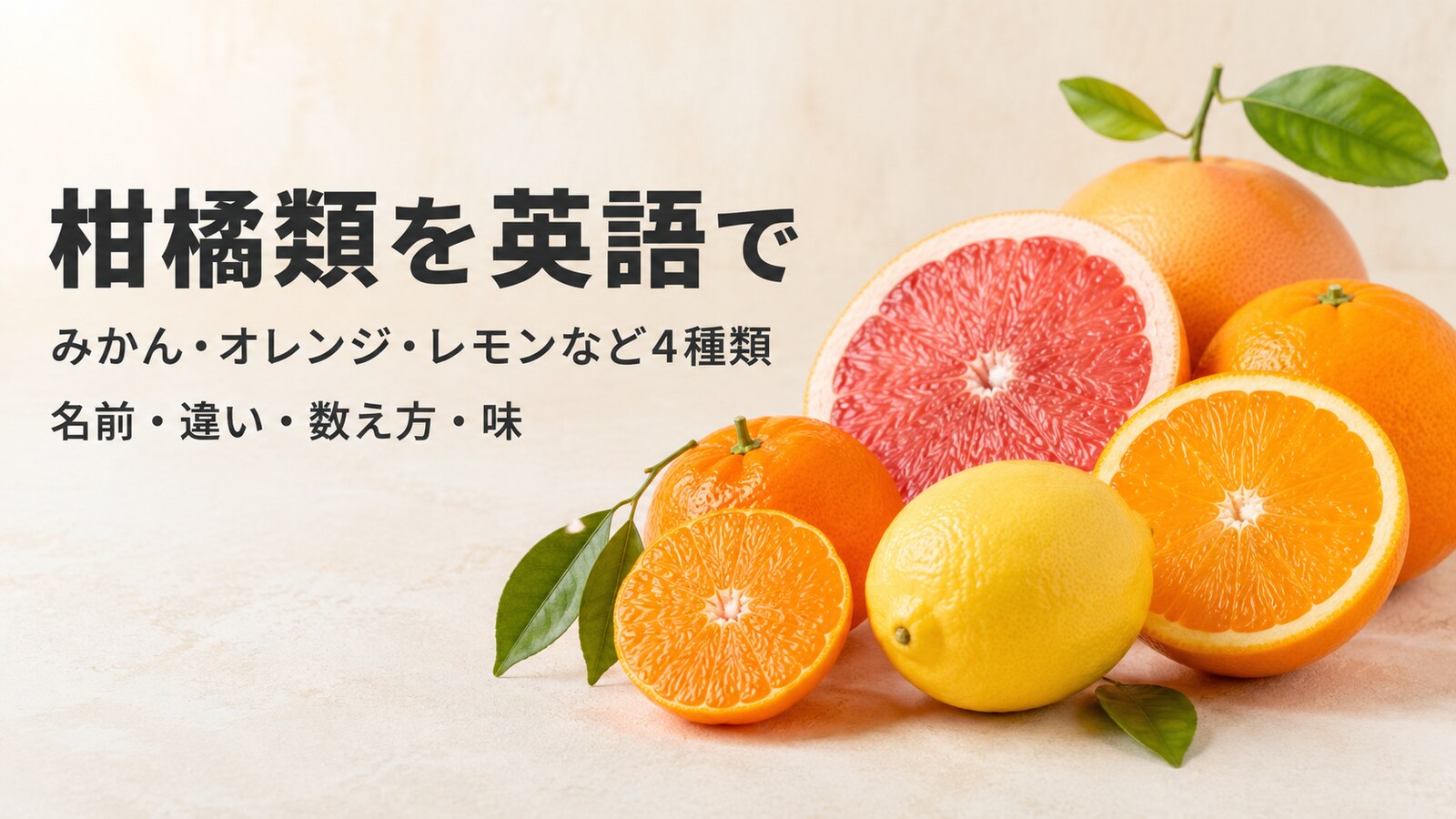 みかん・オレンジ・レモン・グレープフルーツなど柑橘類4種類の英語を紹介する画像