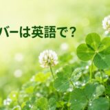 クローバーは英語で？白い花と四つ葉のクローバー