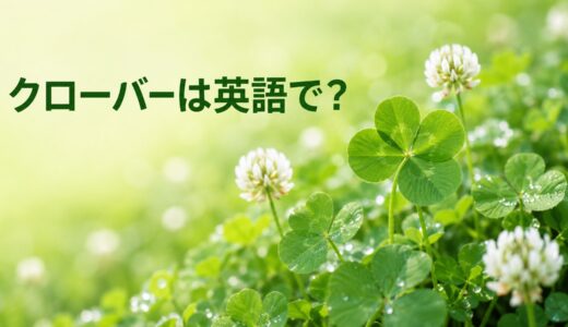 クローバーは英語で？clover・shamrock・four-leaf cloverの違いと幸運の例文