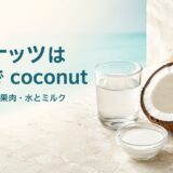 ココナッツは英語でcoconutと示し、複数形・殻・果肉・ココナッツウォーターとミルクを紹介する画像