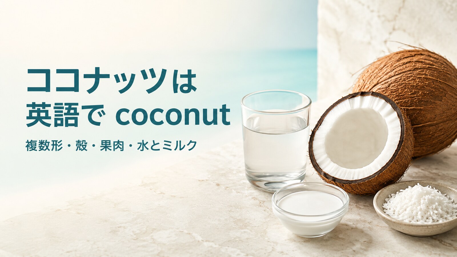 ココナッツは英語でcoconutと示し、複数形・殻・果肉・ココナッツウォーターとミルクを紹介する画像