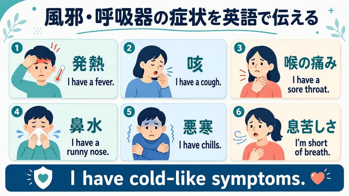 発熱・咳・喉の痛み・鼻水・悪寒・息苦しさを英語で伝えるフレーズ図解