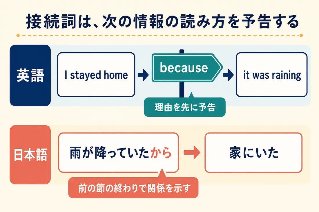 英語の接続詞と日本語の接続表現の情報順序の違い