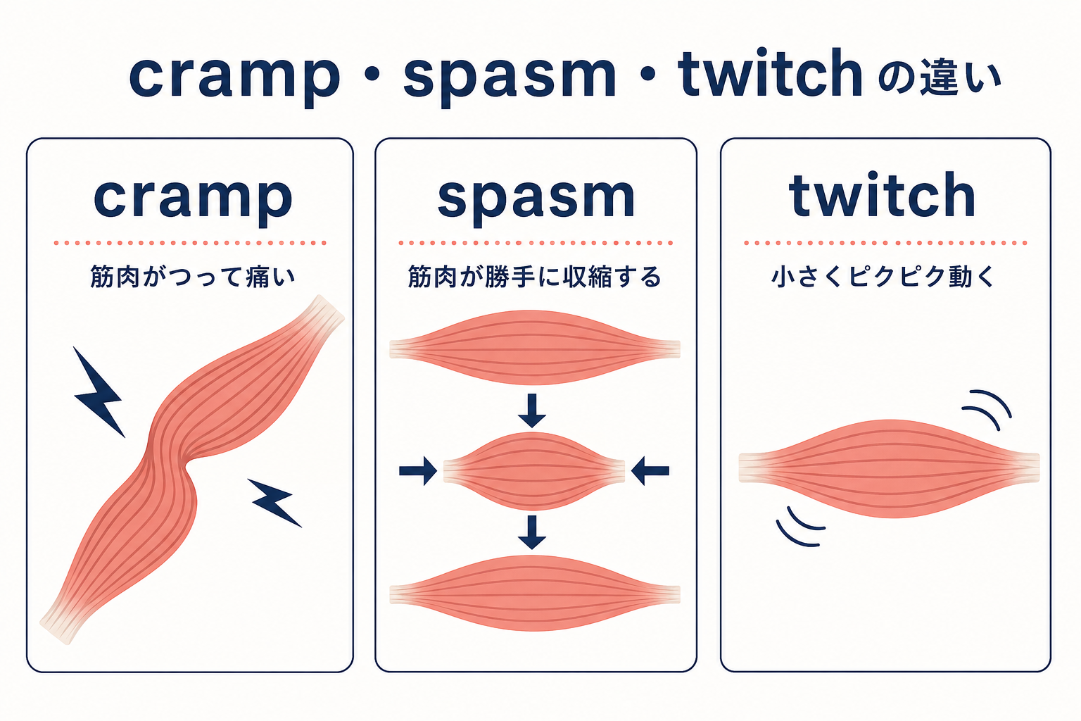 crampは筋肉がつって痛い、spasmは勝手な収縮、twitchは小さなピクつきを表す比較図