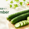きゅうりは英語でcucumberと紹介する記事のアイキャッチ