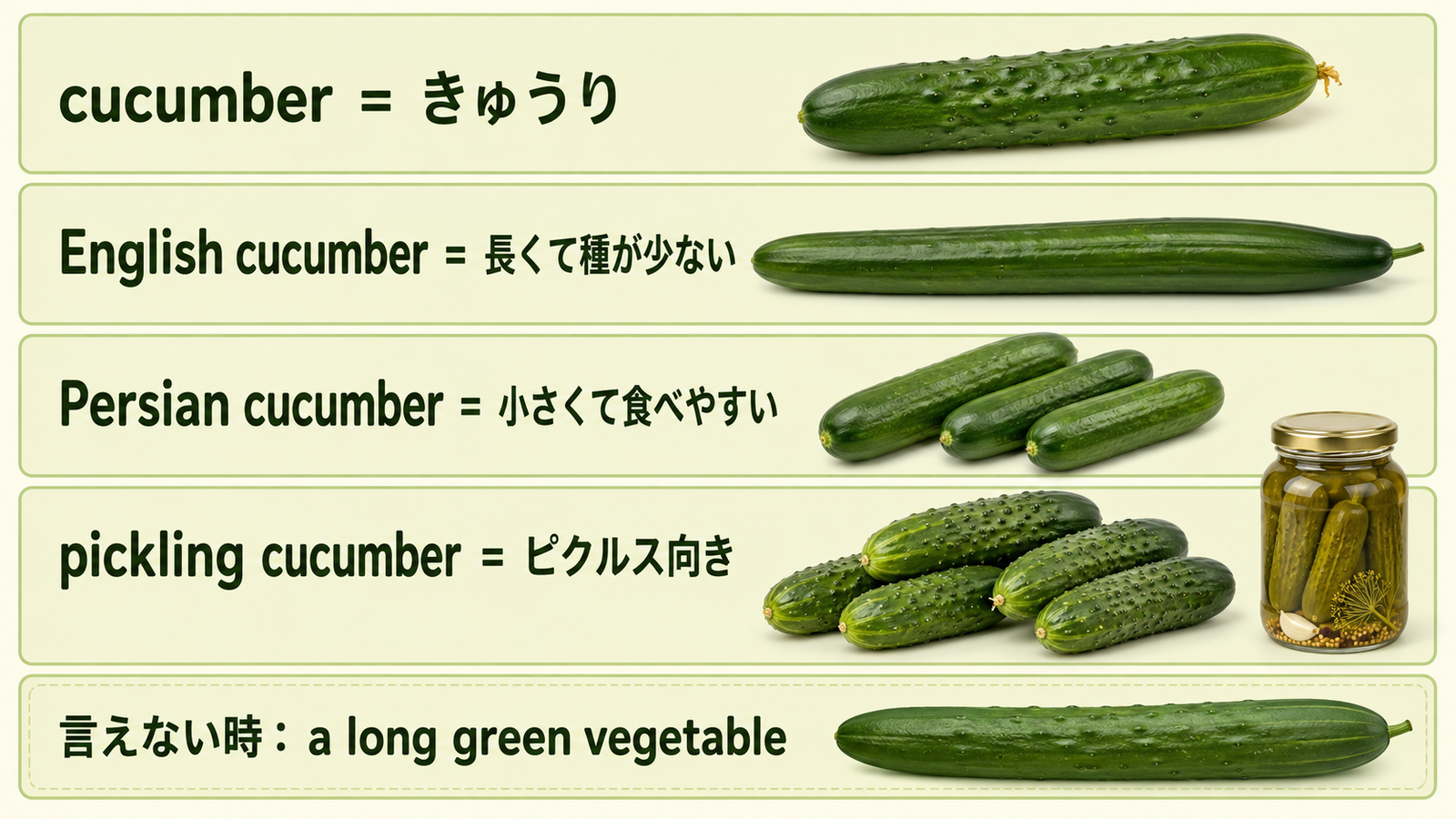 きゅうりの英語表現と種類、簡単な言い換えを比較する図