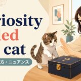 curiosity killed the catの意味・使い方・ニュアンスを解説するアイキャッチ画像