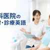 歯科医院で外国人患者に説明する歯科スタッフの英語