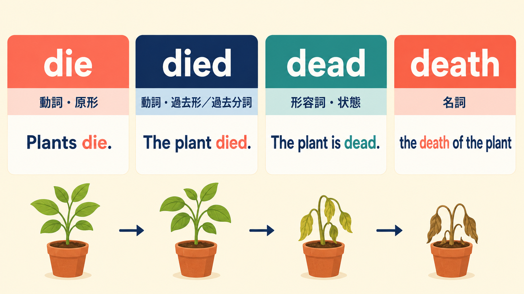 die・died・dead・deathの品詞と使い分けを植物で示した図解