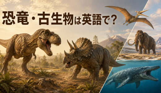 恐竜・古生物は英語で？28種類の名前・発音一覧【翼竜・絶滅動物も】