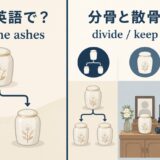 分骨の英語表現と意味