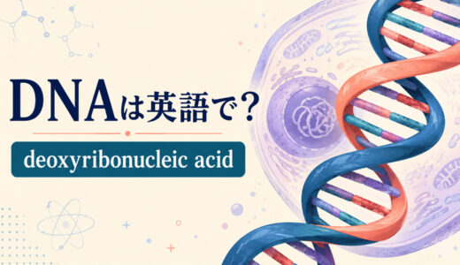 DNAは英語でもDNA？読み方・正式名称deoxyribonucleic acidとgene、chromosomeの違い