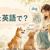 犬は英語でdog・puppy・woof