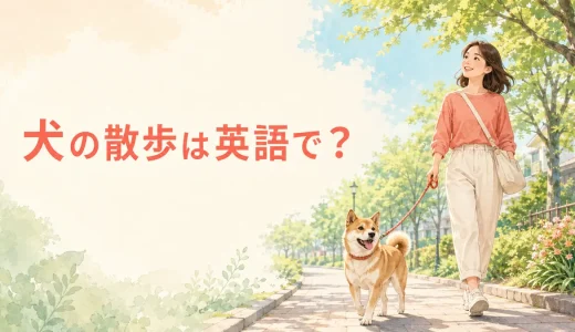 犬の散歩は英語で？walk the dog・take the dog for a walkの違いと例文