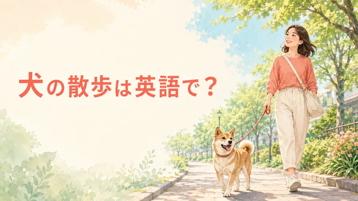 犬の散歩は英語で？女性が犬をリードで散歩させているイラスト