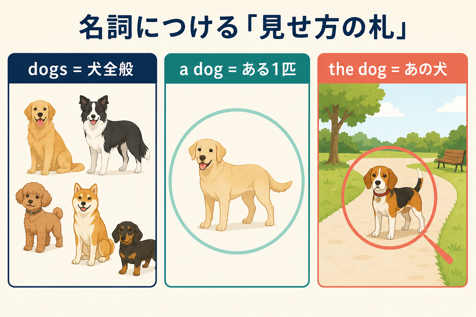 dogsは犬全般、a dogはある1匹、the dogは特定の犬を表すことを示した図