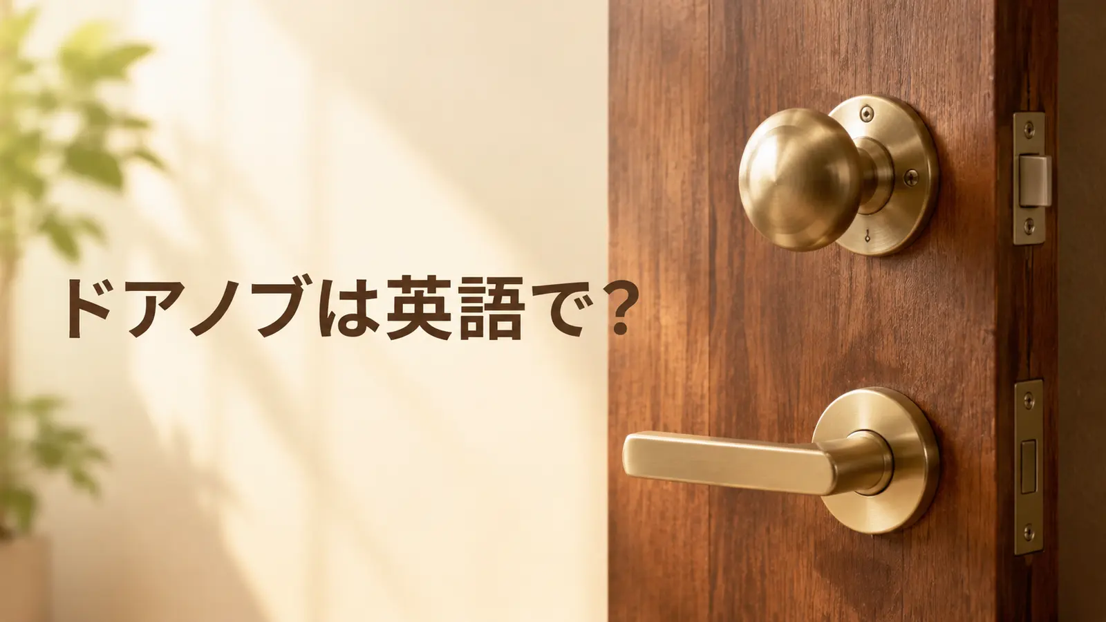 ドアノブは英語で?doorknob・door handleの違い