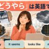 「どうやら」の英語表現 apparently・it seems・looks like・must have
