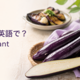 なすは英語でeggplantと紹介する記事のアイキャッチ