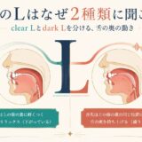 英語のclear Lとdark Lが違って聞こえる理由を表したイラスト