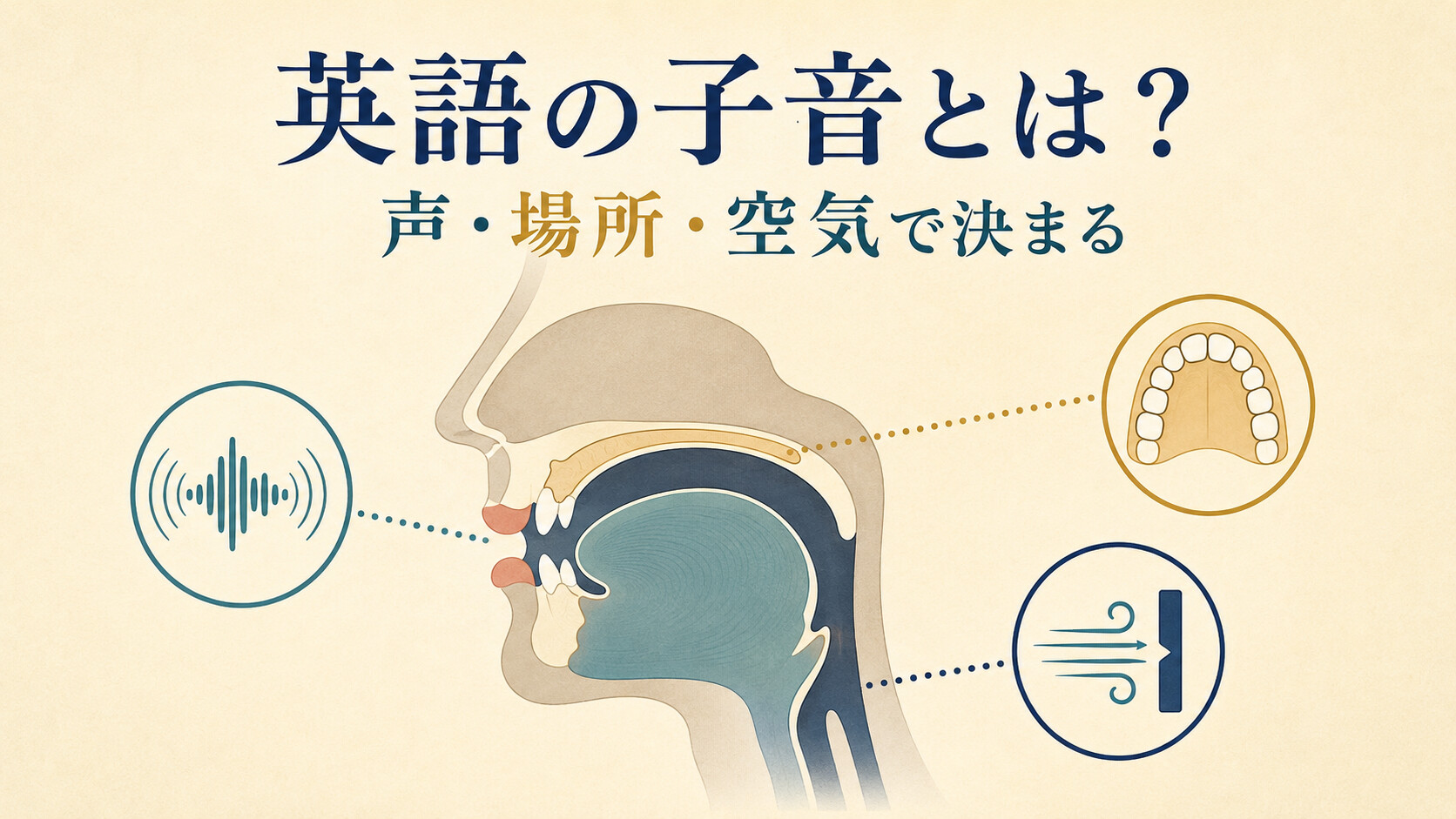 英語の子音が声帯振動・調音位置・調音方法で決まることを示す図