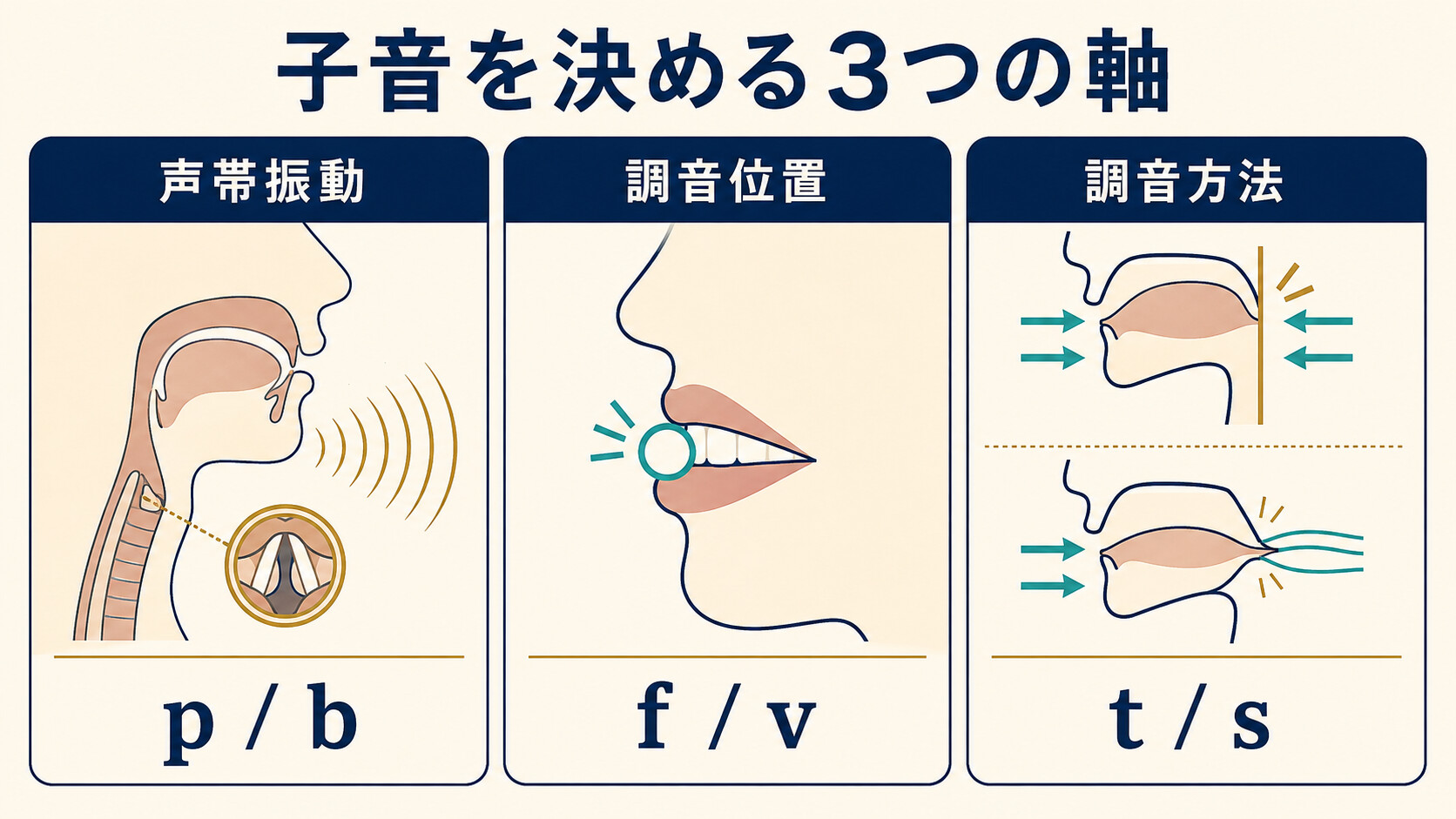 英語の子音を声帯振動・調音位置・調音方法の3軸で分類した図