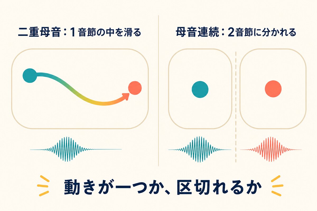 一音節の中を滑る二重母音と二音節に分かれる母音連続を比較したイラスト