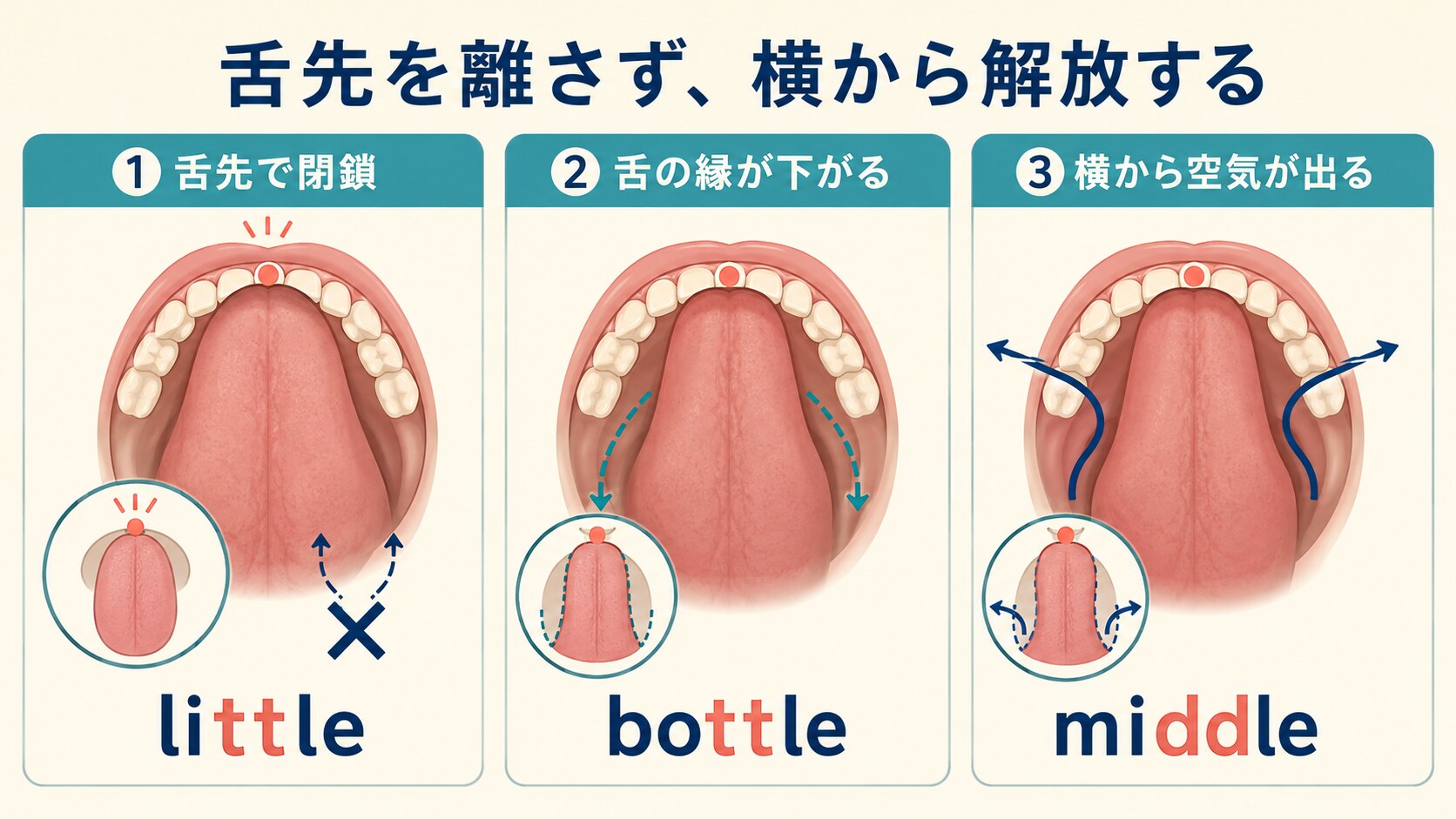 little・bottle・middleで舌先の閉鎖を保ち舌の縁を下げて横から空気を出す三段階の図解
