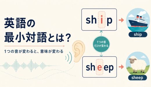 英語の最小対語（minimal pair）とは？1音だけで意味が変わる仕組みを解説