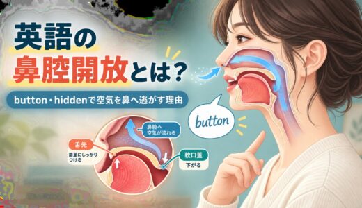 英語の鼻腔開放とは？button・hiddenでt・dを口から破裂させず鼻へ逃がす理由