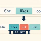 She likes coffee.がShe does not like coffee.へ変わる英語の否定文とdo-supportの図解