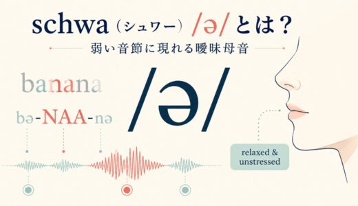 schwa（シュワー）/ə/とは？英語の曖昧母音・弱形・発音のコツを解説