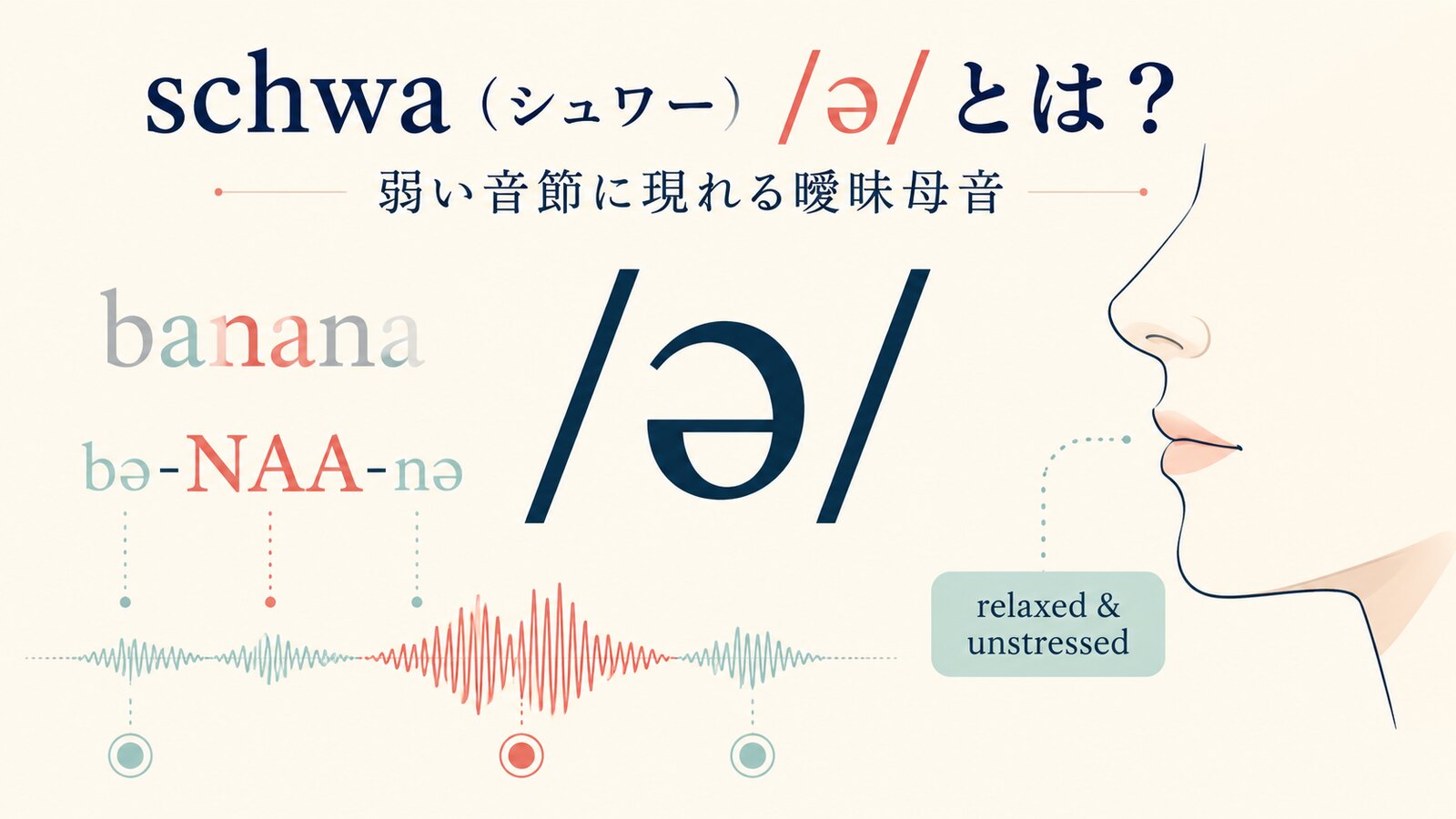 schwa(シュワー)əが英語の弱い音節に現れる曖昧母音であることをbananaのリズムで示すイラスト