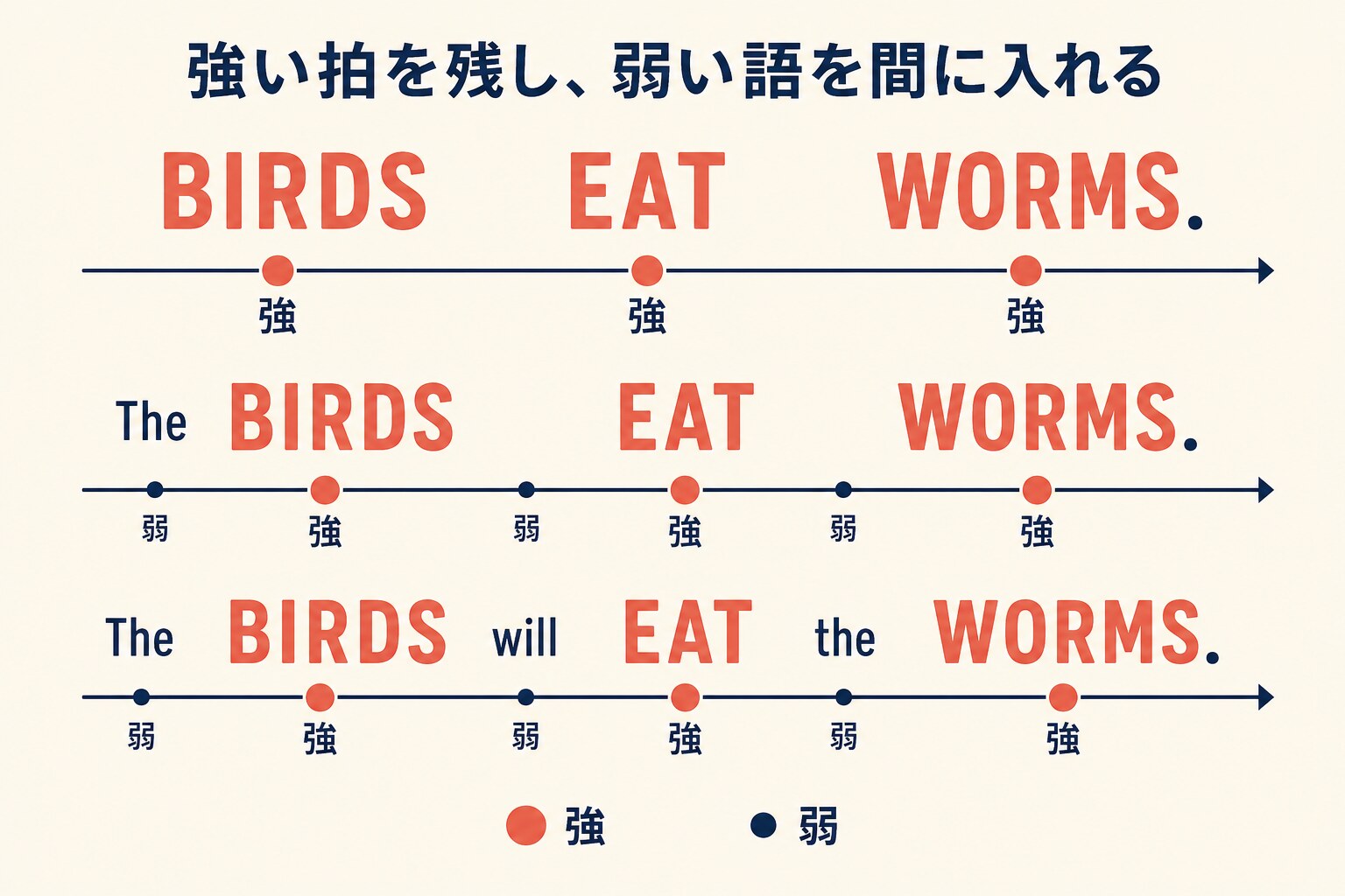 BIRDS EAT WORMSの強い拍を保ちながらTheやwillなどの弱い語を間に入れる英語のリズムを示す図